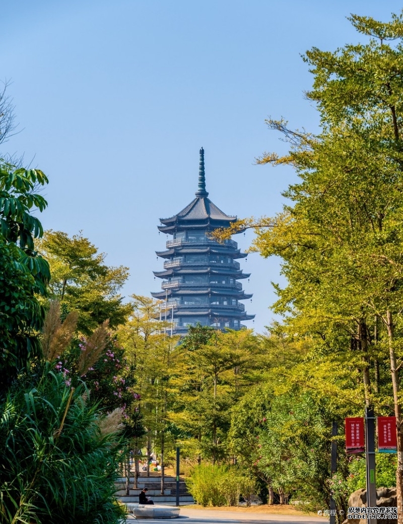 5块钱的“慢”出圈！南宁你是真的宠！